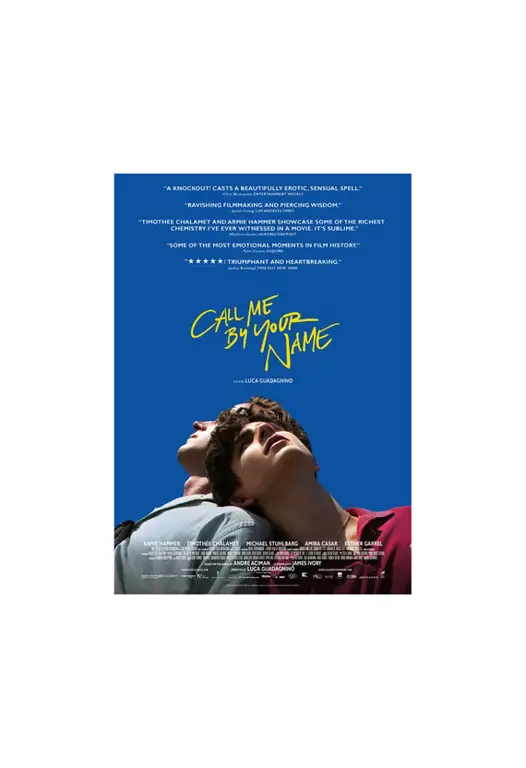 call me by your name download sub indo