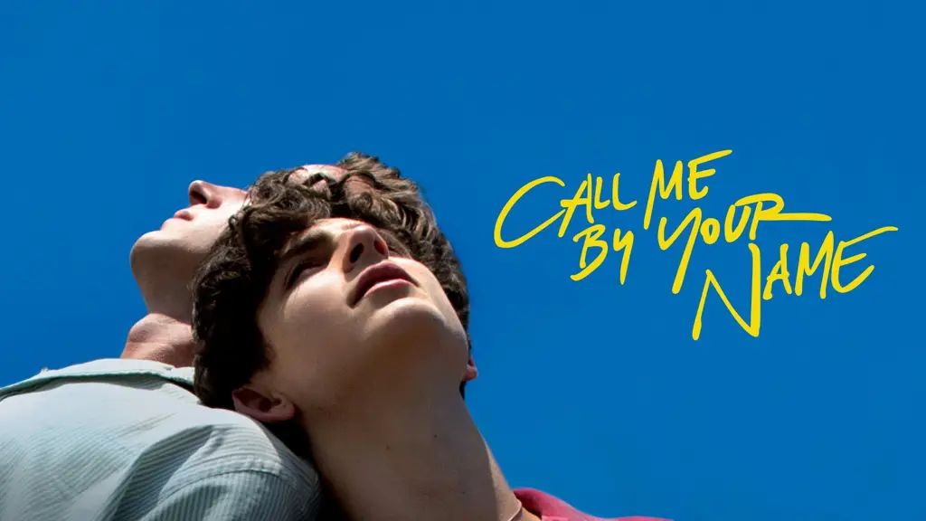 download call me by your name full movie sub indo