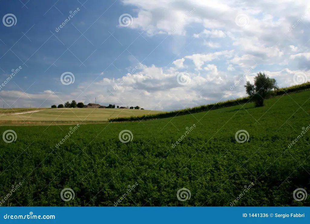 Pemandangan pedesaan Italia