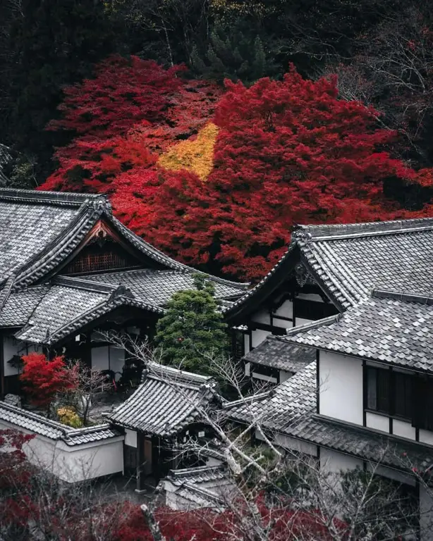 Estetika Jepang sebagai Inspirasi Gambar estetika Jepang