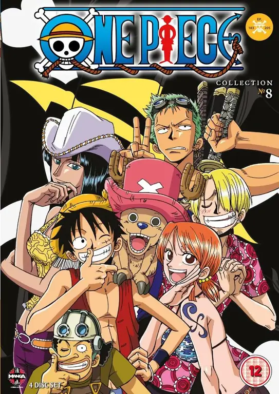 Gambar sampul DVD atau Blu-ray One Piece