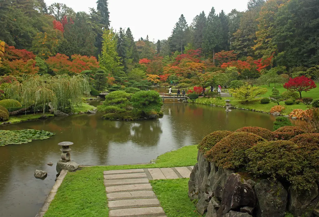 Taman Jepang saat hujan